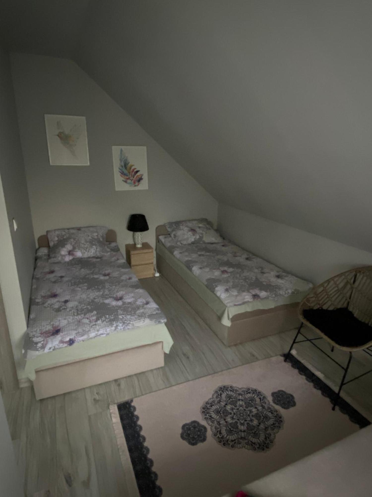 Apartamenty Lesna Osiem Jezow Sudecki Oda fotoğraf